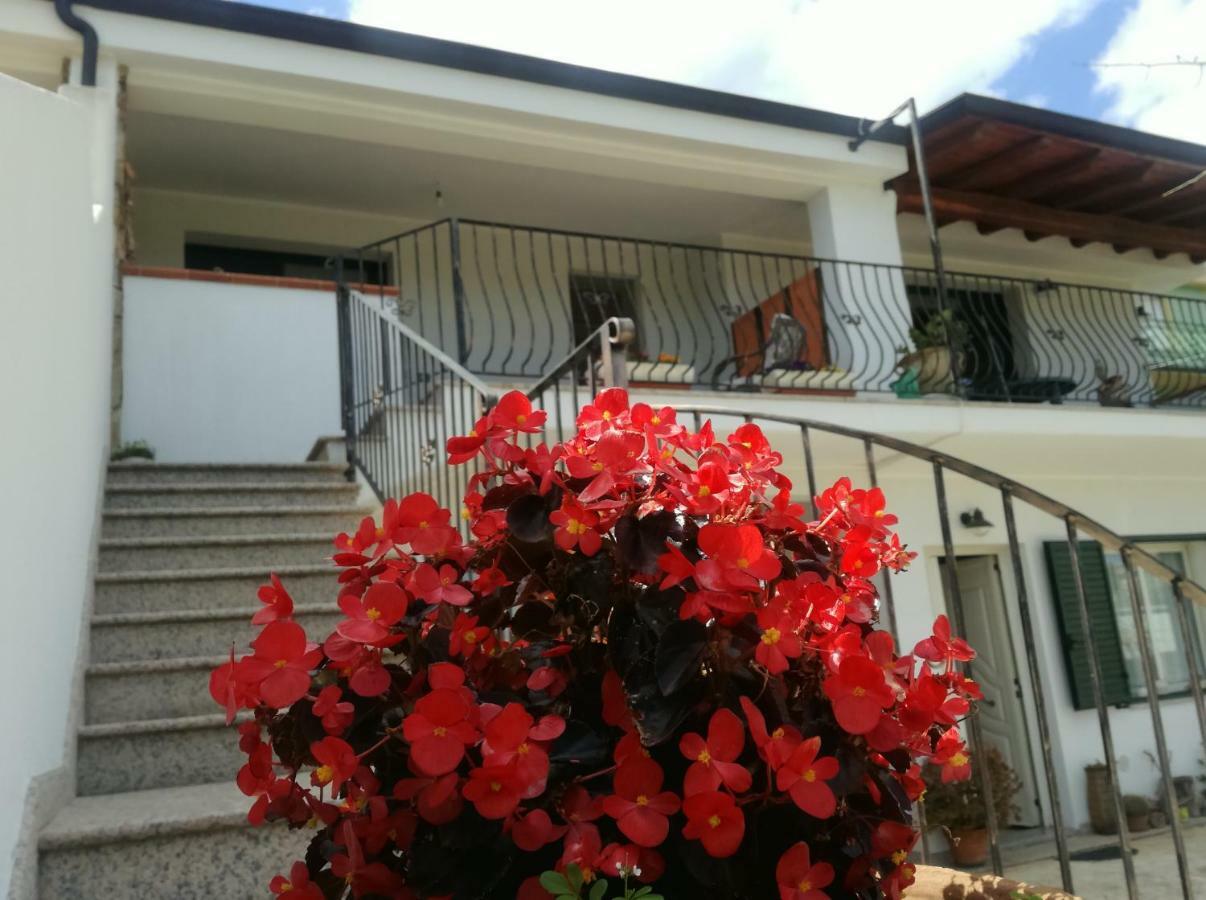 Il Giardino Διαμέρισμα Lotzorai Εξωτερικό φωτογραφία