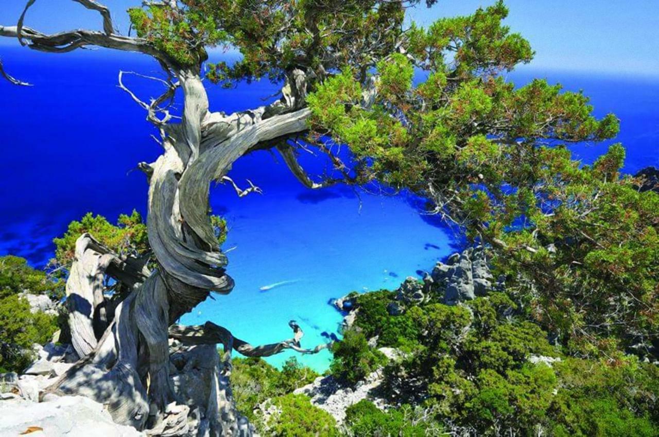 Il Giardino Διαμέρισμα Lotzorai Εξωτερικό φωτογραφία